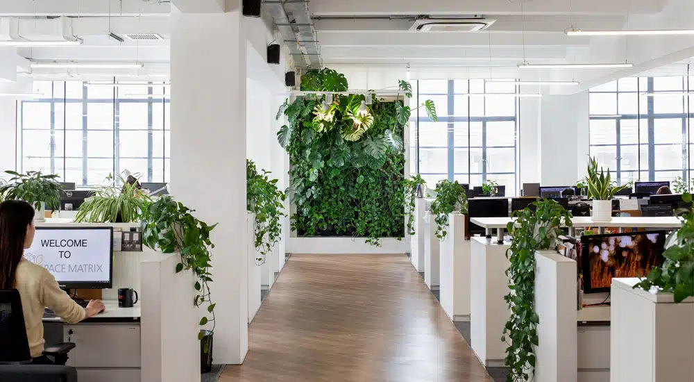 arredamento green office italia