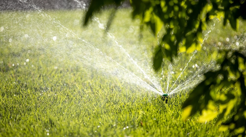 irrigazione giardino con acque grigie