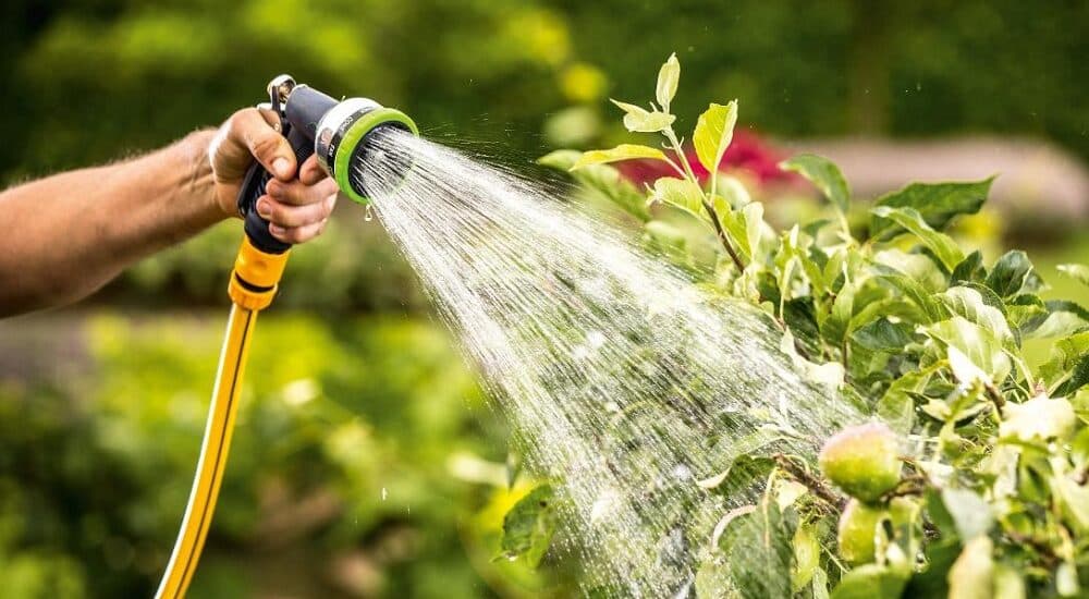 irrigazione intelligente giardino